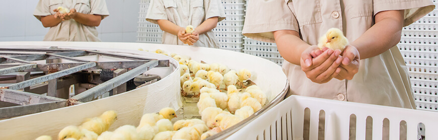 Biyapay-安全支付工具