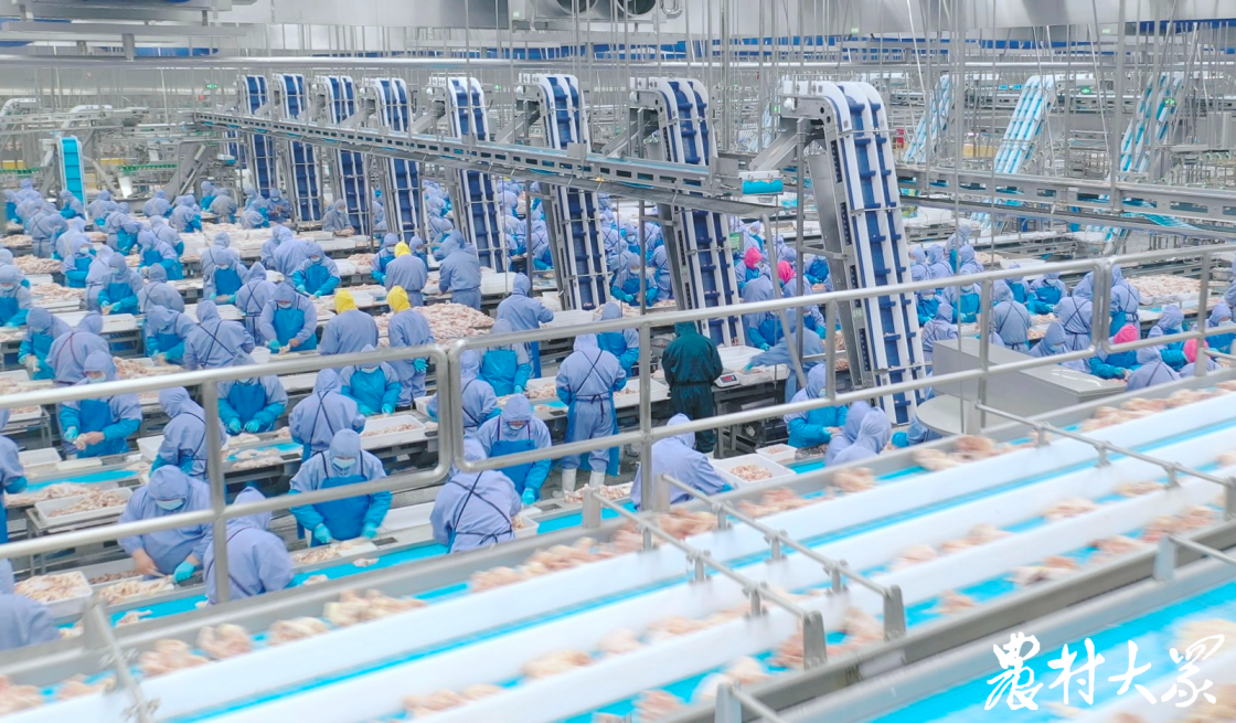 Biyapay-安全支付工具