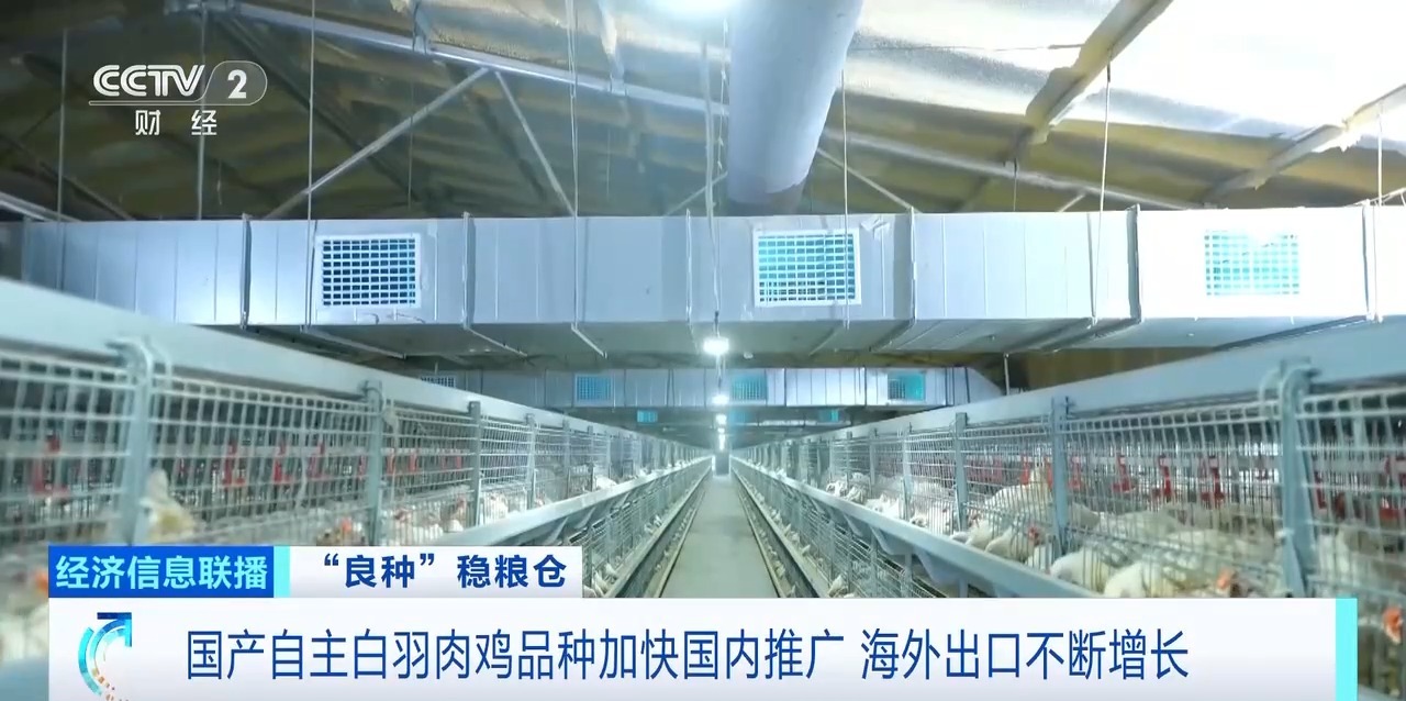 Biyapay-安全支付工具